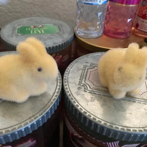 BBW Spring Bunnies & Chicks Magnetic Candle Toppers - Picture 2 of 5